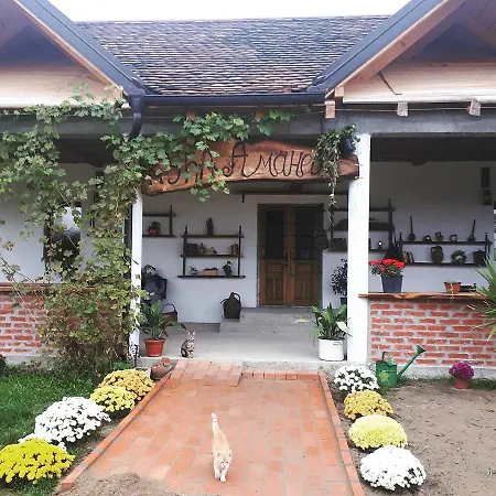 Amanet House Apartmán *