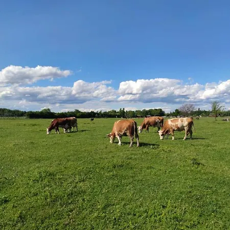 Apartmán Amanet House