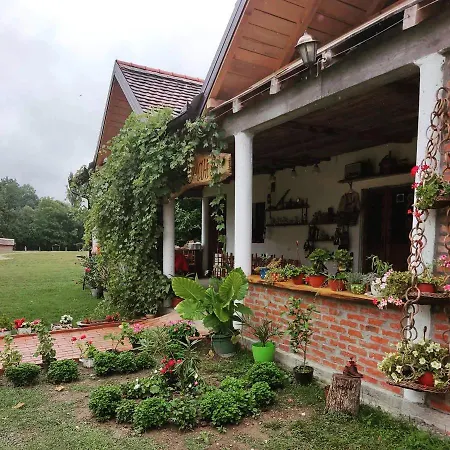Amanet House Apartment Zasavica