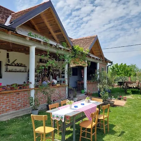 Amanet House * Zasavica