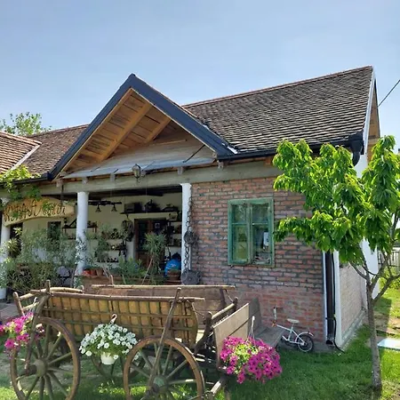 Apartmán Amanet House *