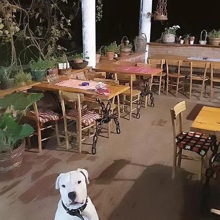 Amanet House * Zasavica