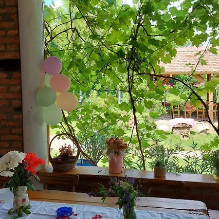 Amanet House Apartmán Zasavica